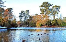 views over bedford park lake.jpg